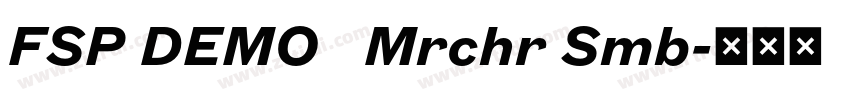 FSP DEMO   Mrchr Smb字体转换